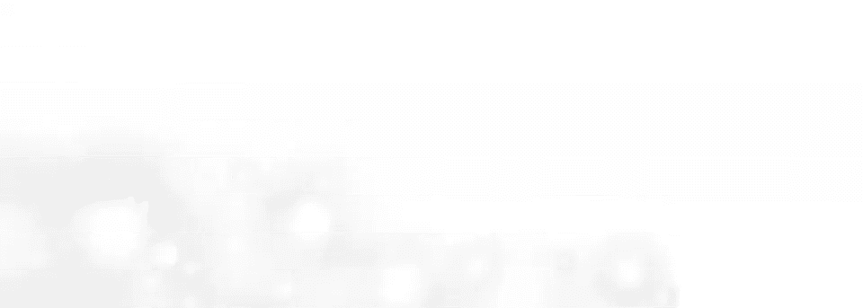 第217页